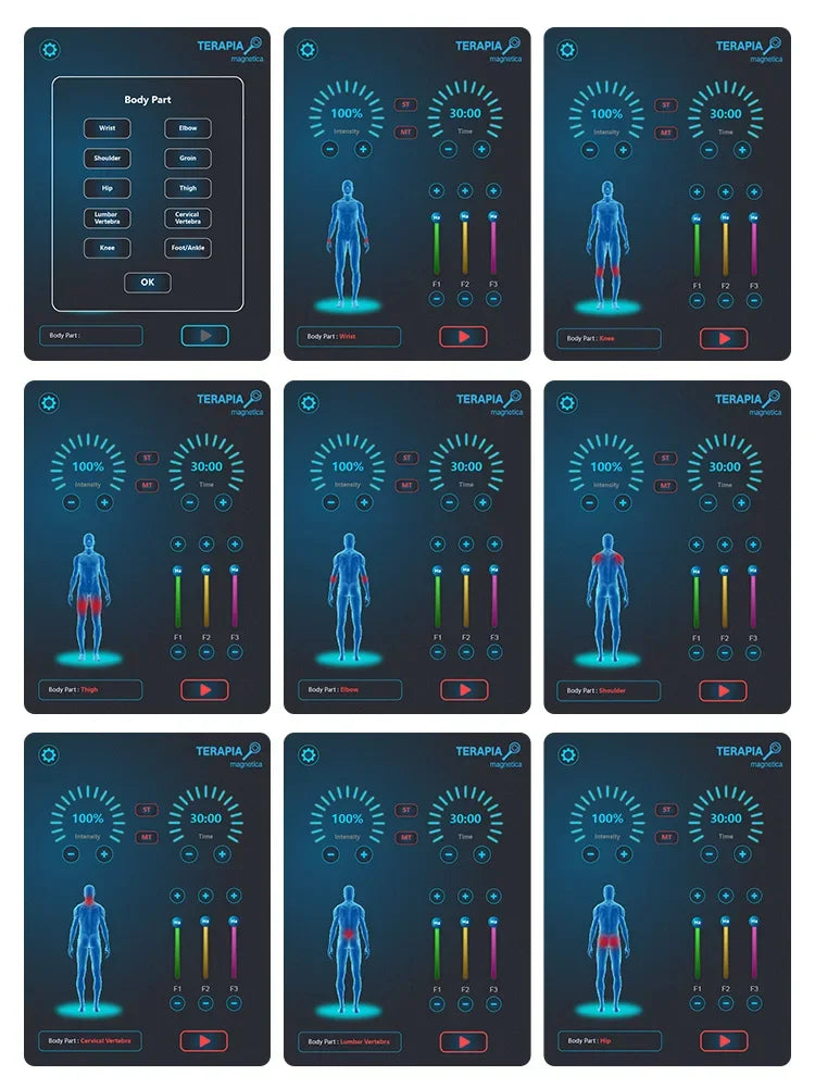 TAIXL Magnetic Therapy Massage Device For Pain Relief And Muscle Relaxation